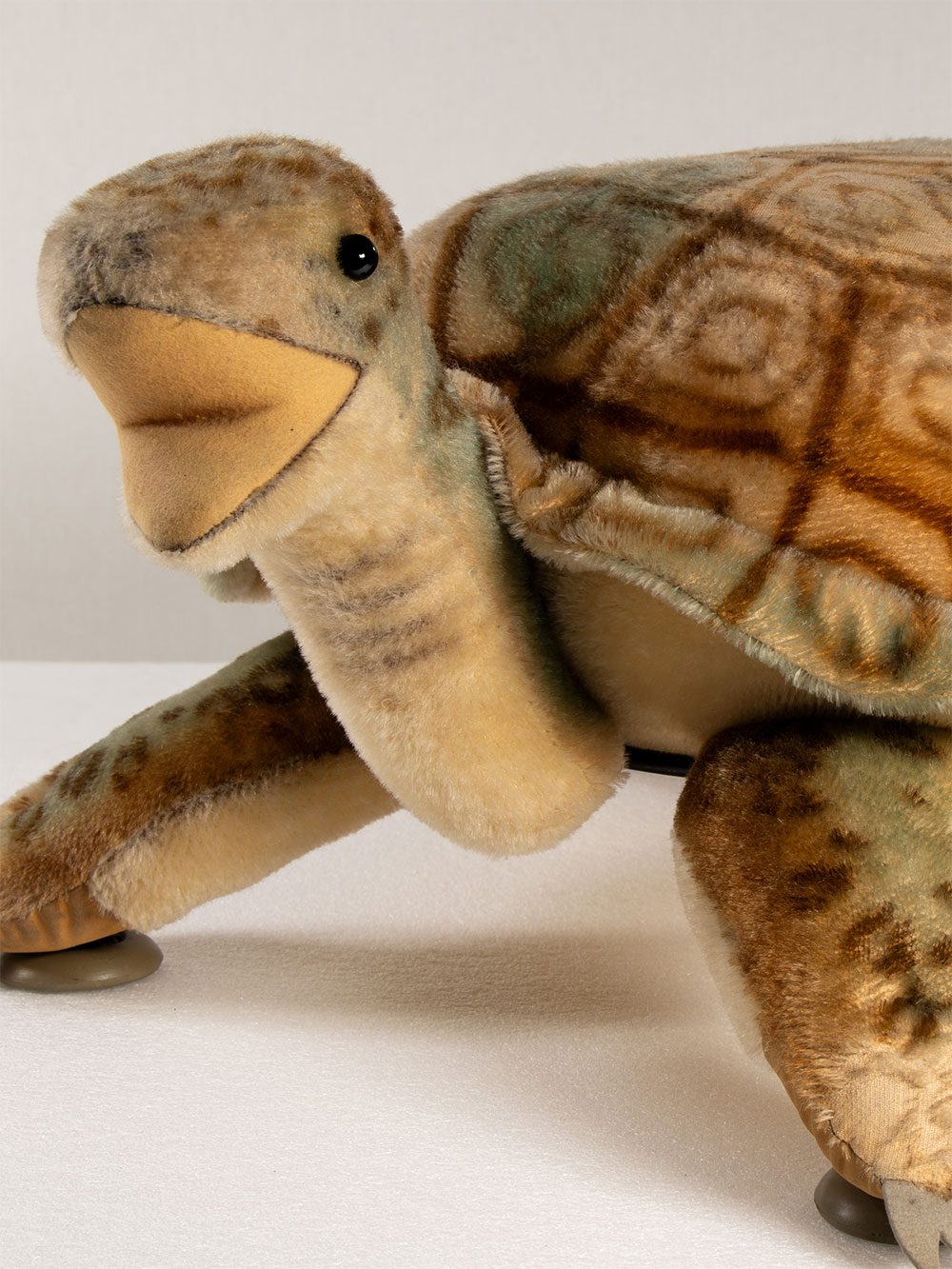 Plush turtle